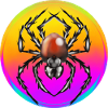 araignée tribal