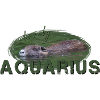 Aquarius Zodiac Sign Aquarius