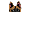 Schæferhund Mor Kæledyr Elsker Gif
