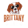 French Brittany Spaniel Epagneul Breton Gift