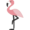 Pink flamingo pink