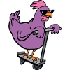 Scooter chicken