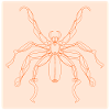 Halloween Kostüme Spinne