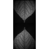 Inverted Leaves