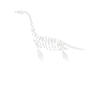 Plesiosaurus Plaeontology Paléontologue Fossile