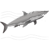 Aquarius Zodiac sign Aquarius