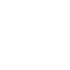 Digital Artist