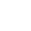 Influencer Beruf