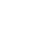 Politiker Beruf