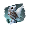 Snowy owl