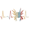 Heartbeat Axolotl