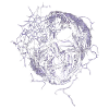 Thunder Halloween Skull