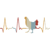 Heartbeat chicken