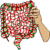 Sugar-sweet XMAS intestine