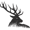 Cerf