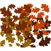Herbstblätter