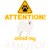 Attention! Évitez mon Samoyède !