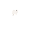 Samoyed Heartbeat