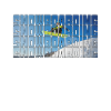 snowboarding