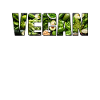 Vegan