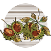 Chestnuts