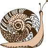Snail