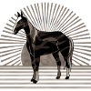 Pferd