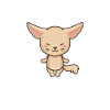 Nothing beats a Fennec fox