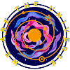 We are the universe