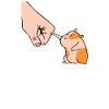 Hamster