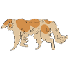 Borzoi
