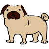 Pug
