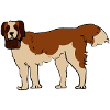 Saint Bernard