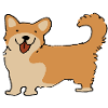 Corgi