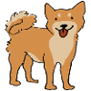 Shiba Inu