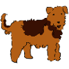Airedale Terrier