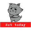 Not today funny cat