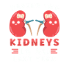 Nyretransplantation Nyredonor nyresygdom