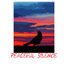 Vogel am Abendhimmel Frieden