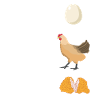 Math Teacher