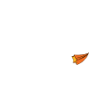 BasketBall 100%
