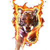 fire tiger