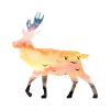 Deer
