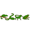 Herpetology Reptiles Herpetologist Lizards