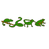 Herpetology Reptiles Herpetologist Lizards