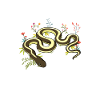 Herpetology Reptiles Herpetologist Lizards