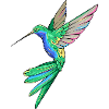 Plumes de colibri