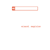 Sjov revisor definition CPA Finans revisor