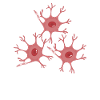 Biology Biologist Cell Molecular Biologist