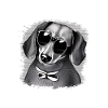 Teckelhond honden met zonnebril cool motief 6